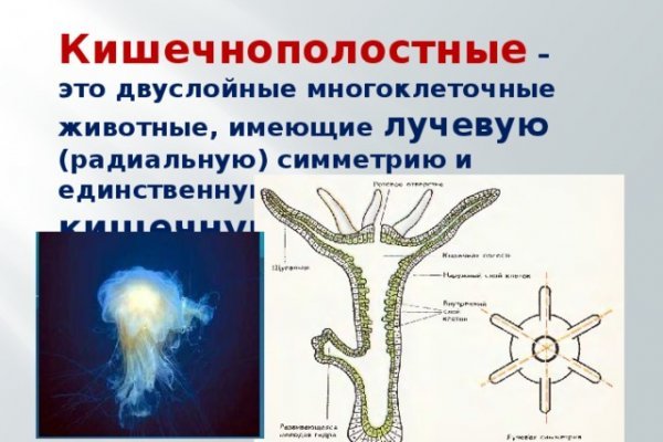 Кракен сайт как зайти