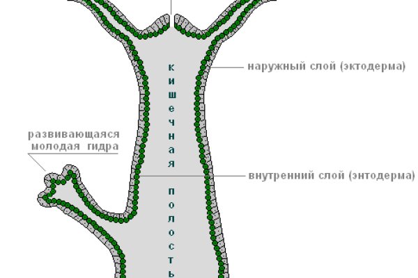 Кракен точка