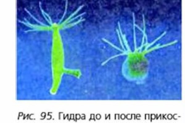 Доступ к сайту кракен